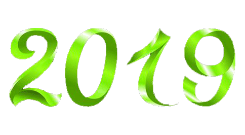 Logo Année 2019